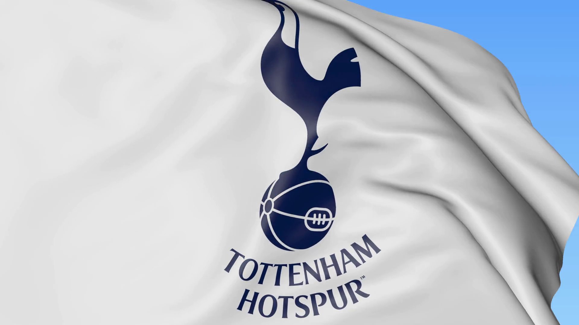 Tottenham hotspur. Тоттенхэм. ФК Тоттенхэм логотип. Тоттенхэм Хотспур обои. Флаг ФК Тоттенхэм.