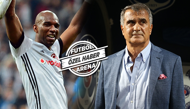 Beşiktaş'ta Şenol Güneş'ten Babel için transfer kararı