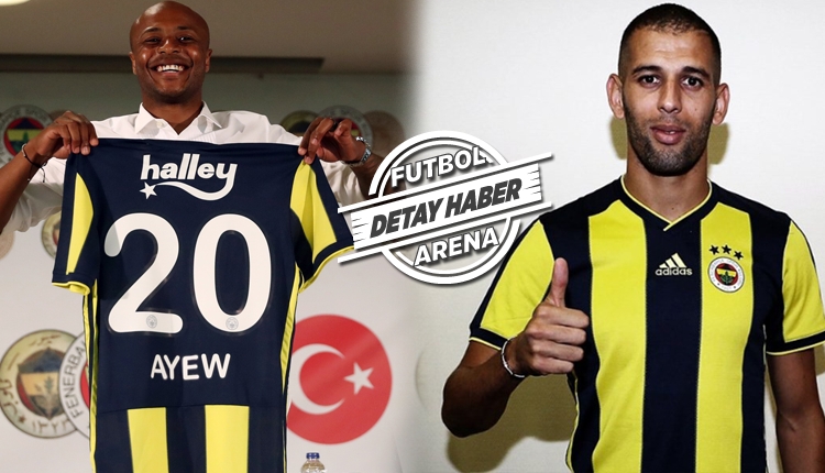 FB Transfer: Fenerbahçe'nin transfer raporu (Fenerbahçe transferleri  2018-2019)