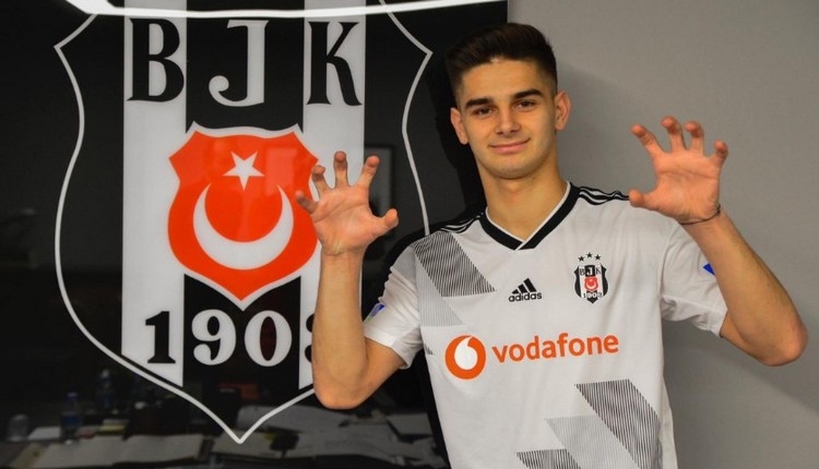 Beşiktaş, Ajdin Hasic ile sözleşme imzaladı