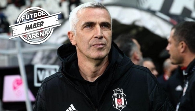 Önder Karaveli, Adanaspor'un yeni teknik direktörü oldu