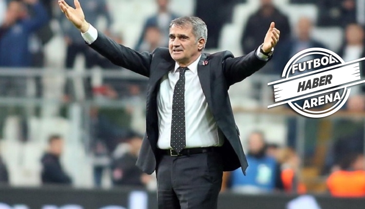 Beşiktaş'ın yeni teknik direktörü Şenol Güneş