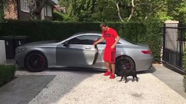 Mesut Özil'in köpeği ve arabası