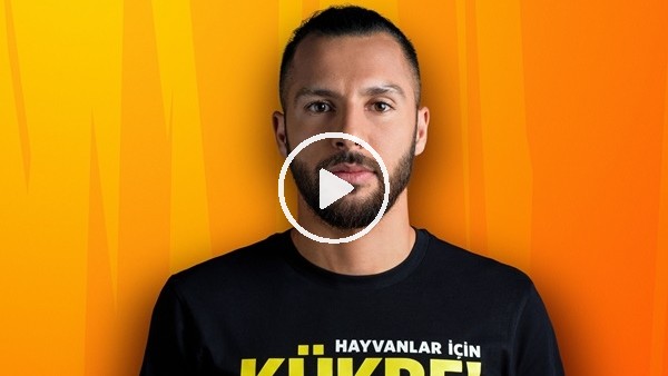 Galatasaray'ın "Hayvanlar için Kükre" projesi Felis kazandı
