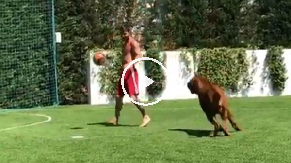Messi köpeğiyle futbol oynadı