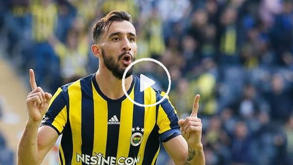 Fenerbahçe, Mehmet Topal'ı arar mı?
