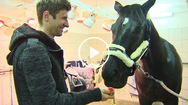 Thomas Müller doğum yapan atına yardım ediyor