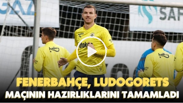 Fenerbahçe, Ludogorets maçına hazır