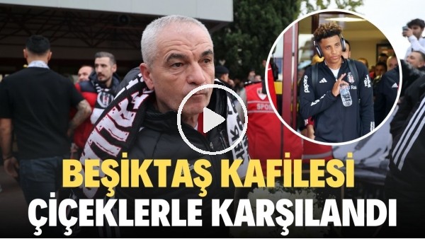 Beşiktaş kafilesi, Samsun'da çiçek ve tezahüratlarla karşılandı